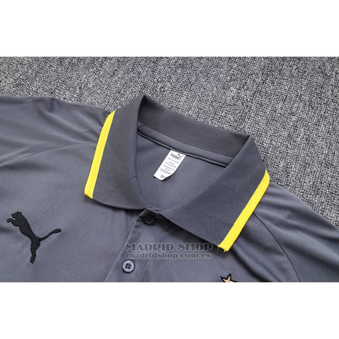 Camiseta Polo del Borussia Dortmund 2023-2024 Gris